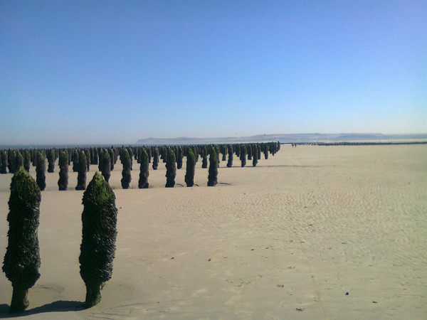 Plage du Nord -Pas de Calais