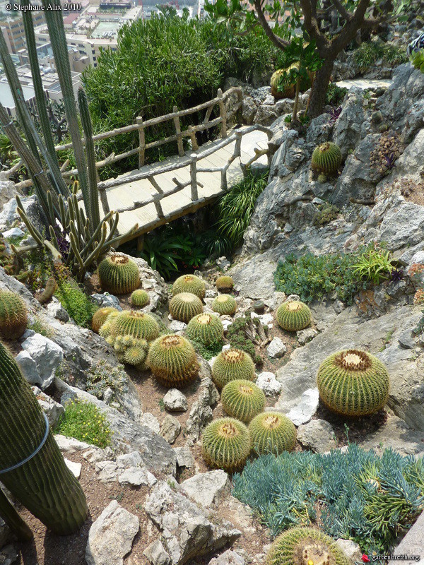 Jardin exotique de Monaco