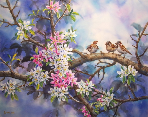 Superbes peintures d'oiseaux