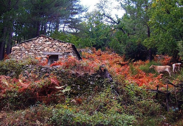 Paysage d'automne