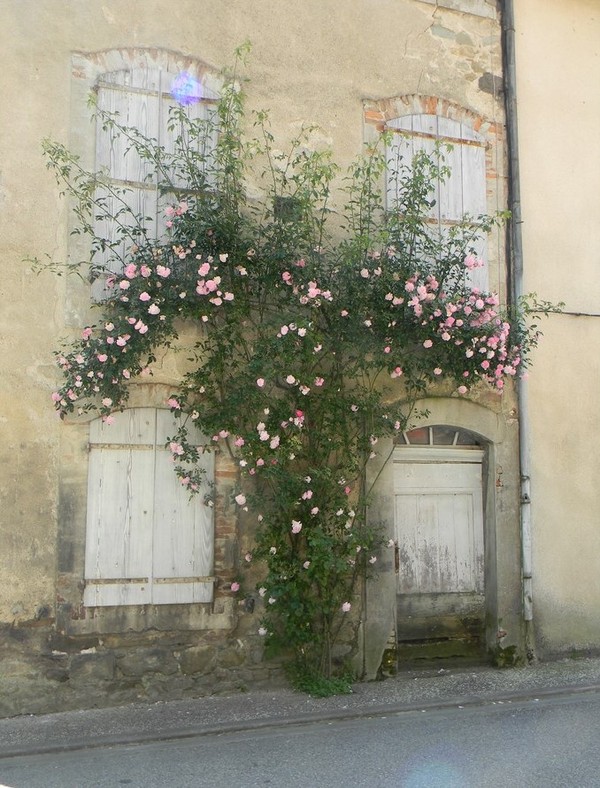 Beau village de Camon