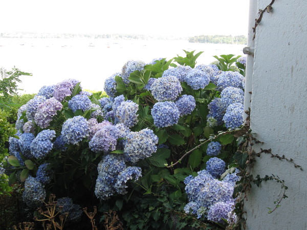 Le golfe du Morbihan - L'lle aux Moines  