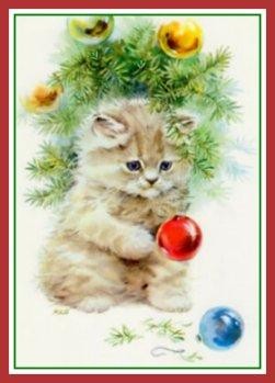 Chaton de Noël