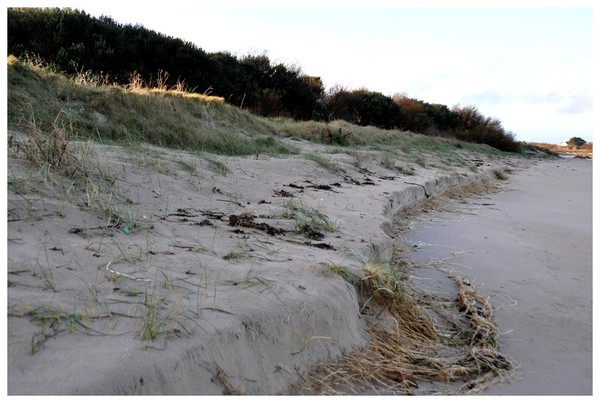 Plage de Basse Normandie (Manche)