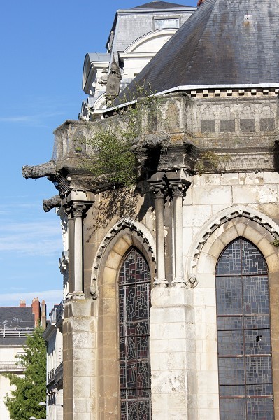 Basilique Saint-Nicolas (Nantes)