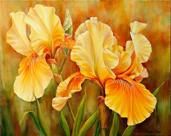 Fleurs de Marianne Broome.