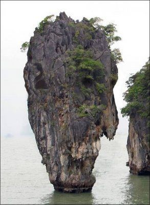 Nature insolite