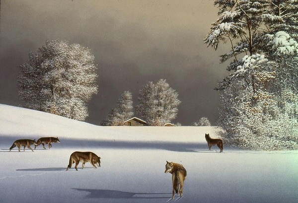 Paysage de neige de Conrad Mieschke