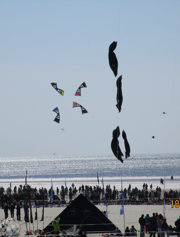 Berck sur Mer -Cerfs Volants 2015