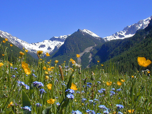 Paysages -Printemps -Eté