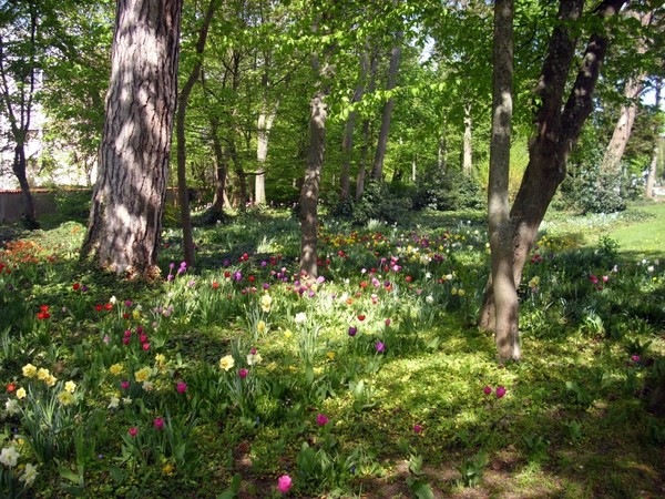 Parc  fleuri