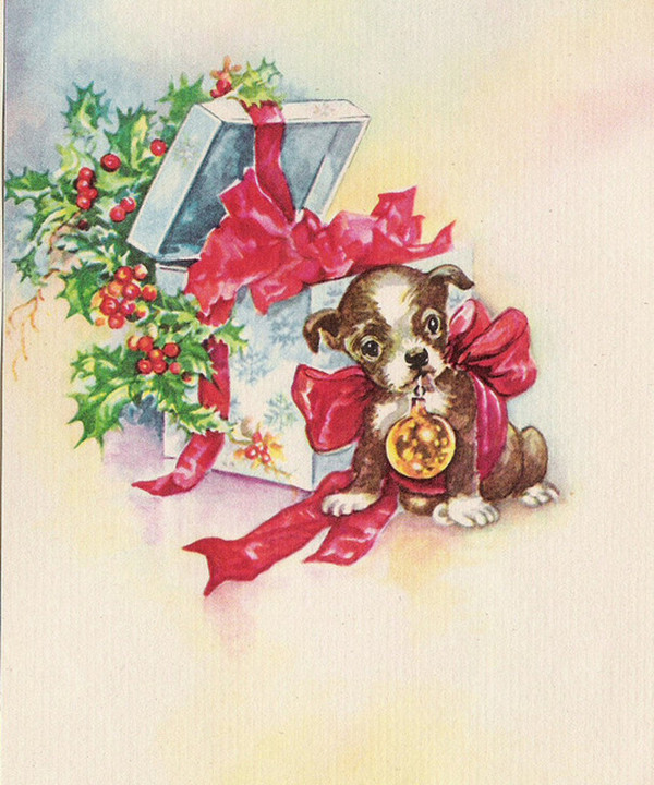 Animaux de Noel