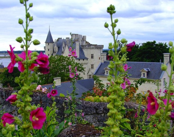 Beau village de Montsoreau