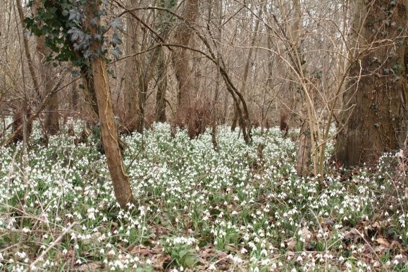 Paysages -Printemps -Eté