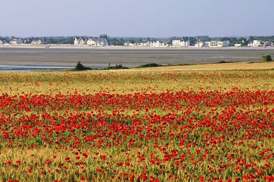 Paysages -Printemps -Eté