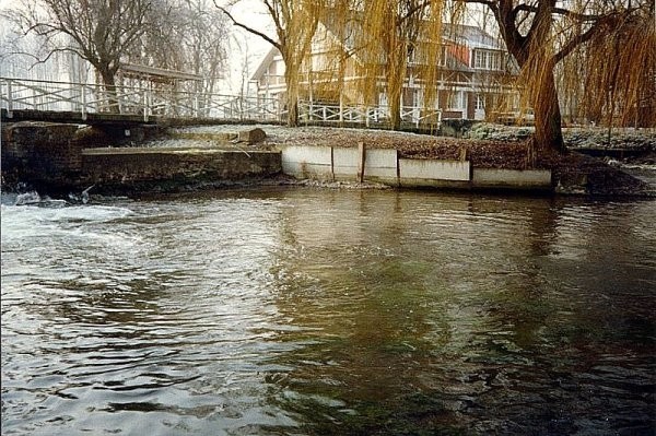 Paysages - Fleurs -Mes photos