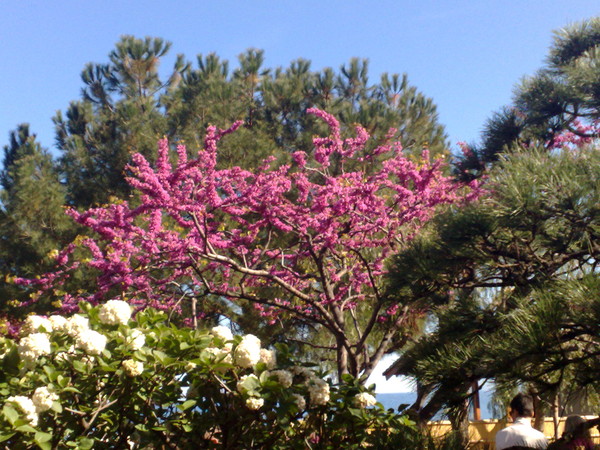 Paysages -Printemps -Eté