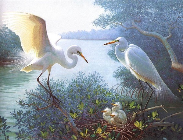 Superbes peintures  d'oiseaux 