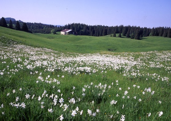 Paysages -Printemps -Eté