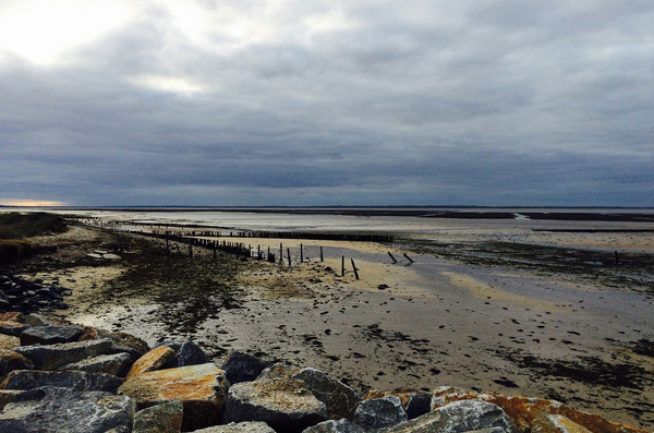 Plage de Basse Normandie (Manche)