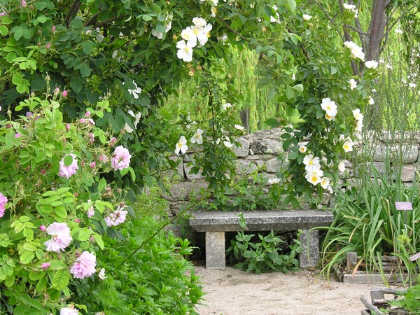 Jardin fleuri