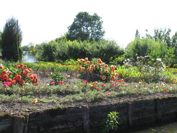 Amiens -Les hortillonnages