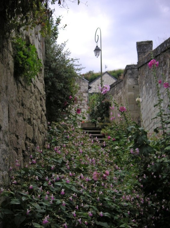 Beau village de Montsoreau