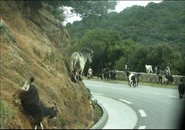 Beaux paysages de France