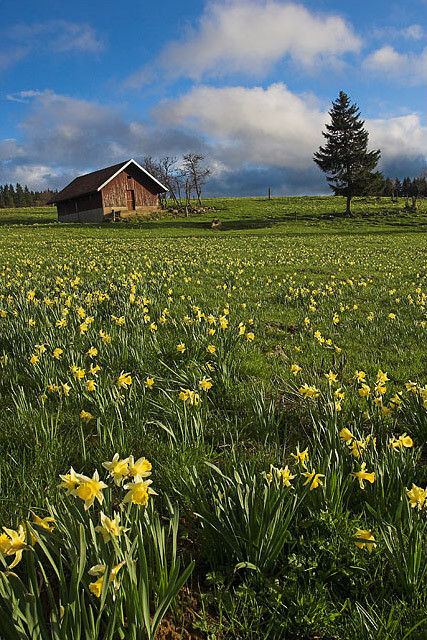 Paysages -Printemps -Eté