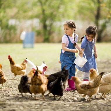 Le temps de l'innocence