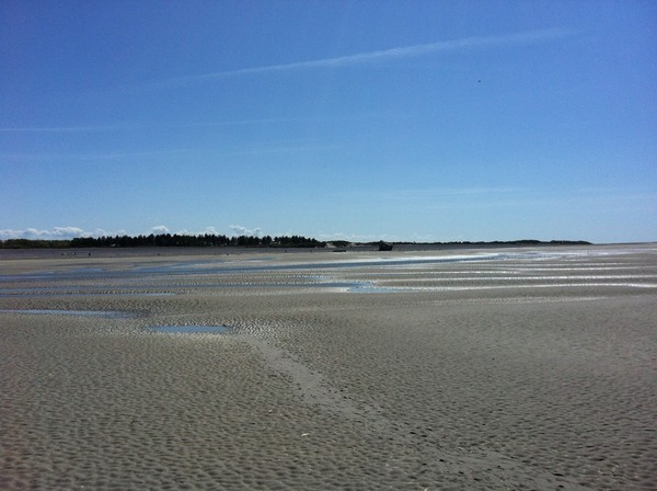 Plage de Picardie