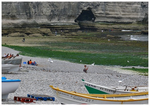 Plage de Haute Normandie