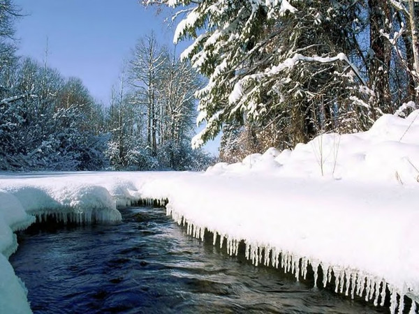 Paysage d'hiver