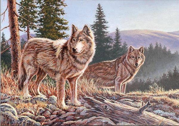 Peinture de Richard de Wolfe 