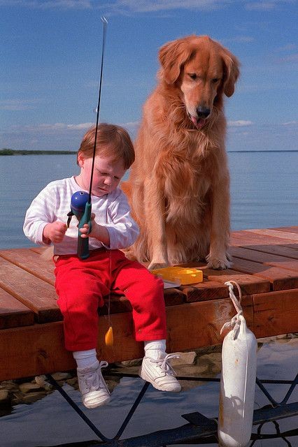 Enfant et leur animal