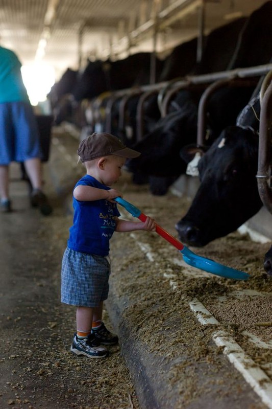 Le temps de l'innocence