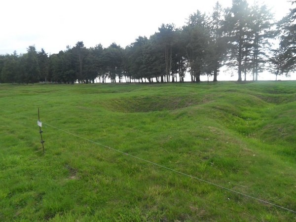 Mémorial terre-neuvien de Beaumont-Hamel