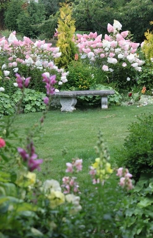  Jardin fleuri 