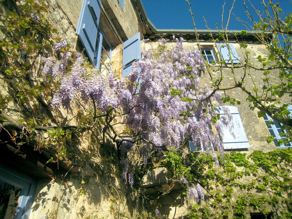 Beau village de Puycelsi