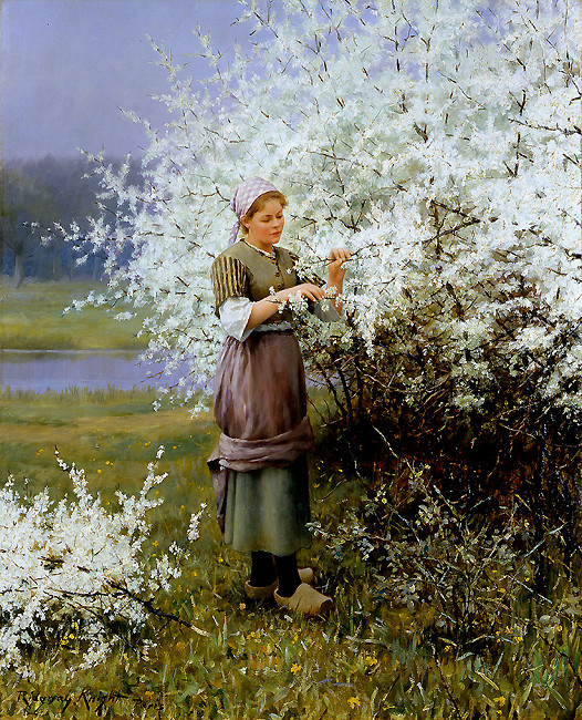 Daniel Ridgway Knight