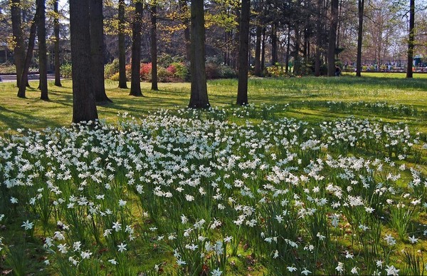 Paysages -Printemps -Eté