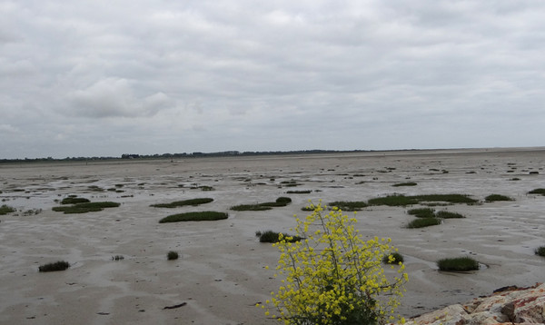 Plage de Basse Normandie (Manche)