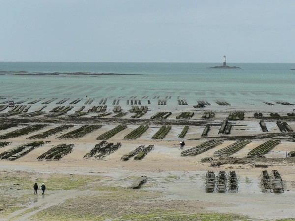 Plage de Basse Normandie (Manche)