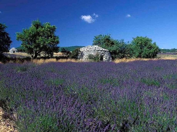 Paysages -Printemps -Eté