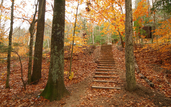 Paysage d'automne