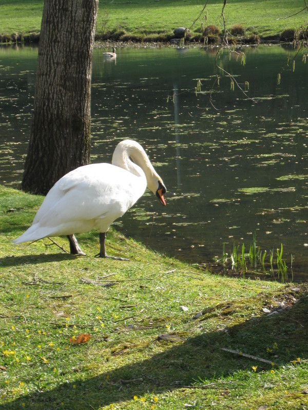 Paysages - Mes photos de vacances 