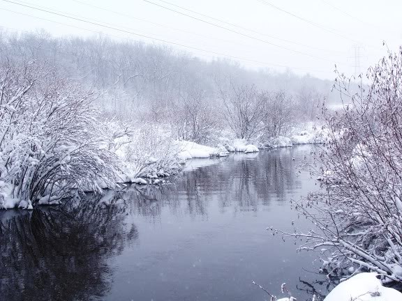 Paysages d'hiver