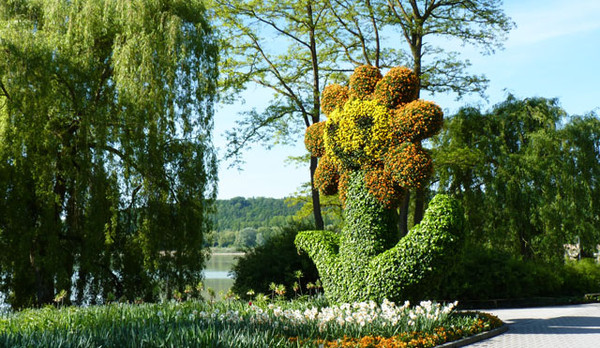 Sculture florale- Topiaire