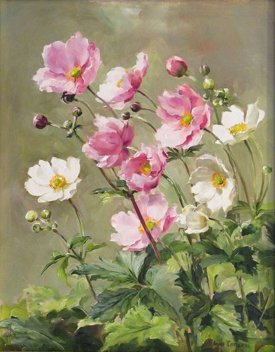 Fleurs de Anne Cotterill