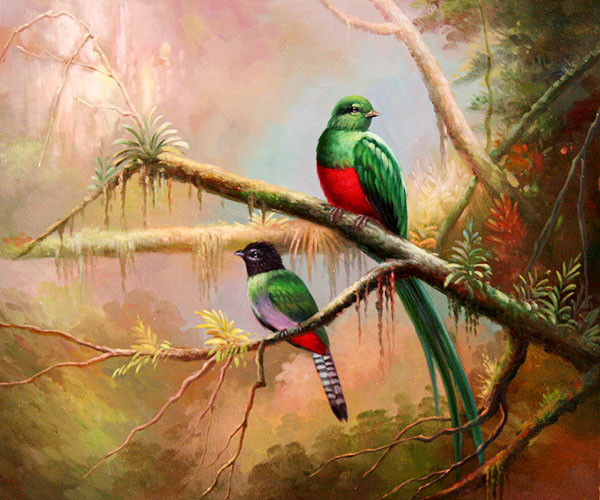 Superbes peintures  d'oiseaux